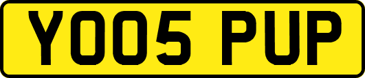 YO05PUP
