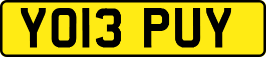 YO13PUY
