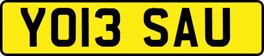 YO13SAU