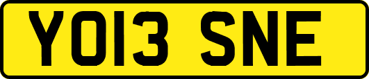 YO13SNE