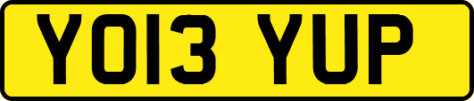 YO13YUP
