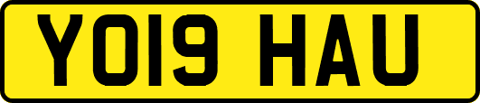 YO19HAU