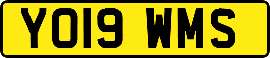 YO19WMS