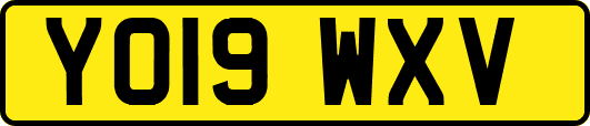 YO19WXV
