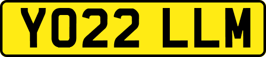 YO22LLM