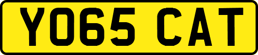 YO65CAT