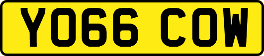 YO66COW