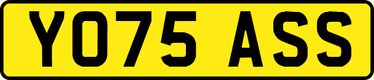 YO75ASS