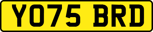 YO75BRD