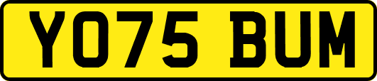 YO75BUM