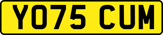 YO75CUM