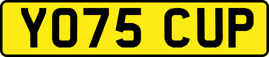 YO75CUP