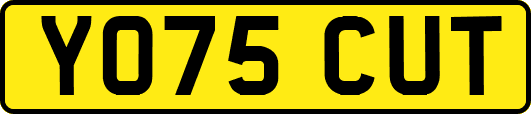 YO75CUT