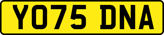 YO75DNA