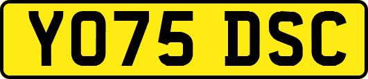 YO75DSC