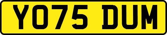 YO75DUM
