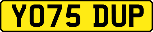 YO75DUP