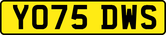 YO75DWS