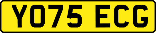 YO75ECG