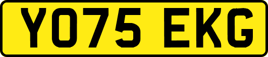 YO75EKG