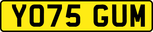 YO75GUM