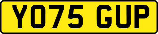YO75GUP