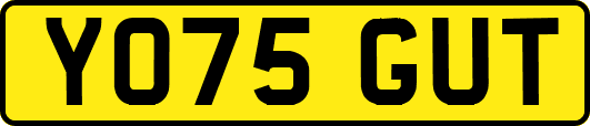 YO75GUT