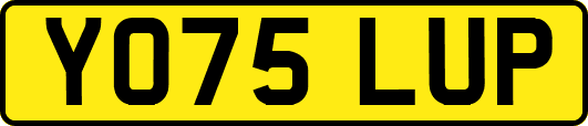 YO75LUP