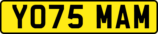 YO75MAM