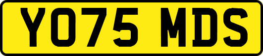 YO75MDS