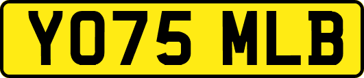 YO75MLB