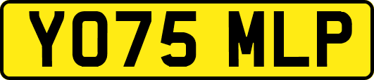 YO75MLP