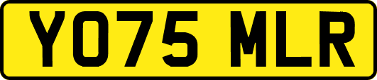 YO75MLR
