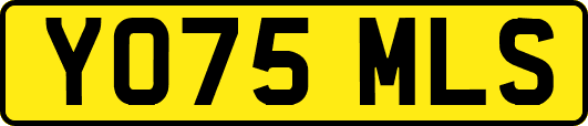 YO75MLS