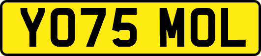 YO75MOL