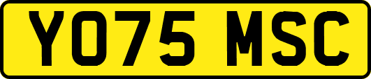 YO75MSC