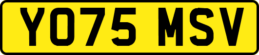 YO75MSV