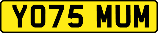 YO75MUM