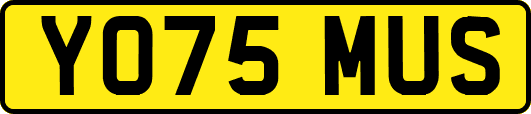 YO75MUS