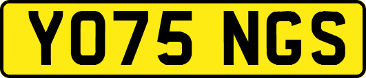 YO75NGS
