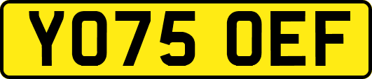 YO75OEF