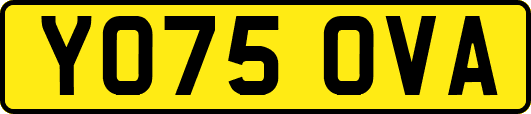 YO75OVA