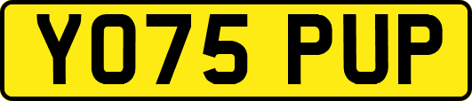 YO75PUP