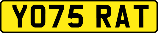 YO75RAT