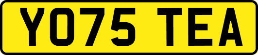 YO75TEA