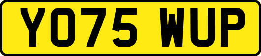 YO75WUP