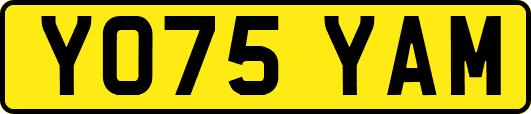 YO75YAM