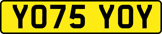 YO75YOY