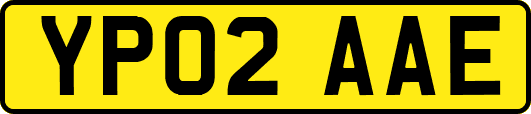 YP02AAE