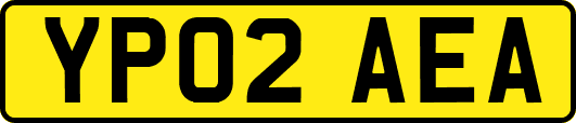 YP02AEA